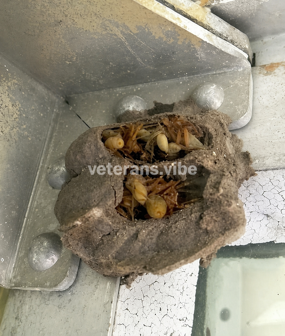 I Went Into the Garage for a Simple Task—But What I Noticed Changed How I See Everyday Spaces