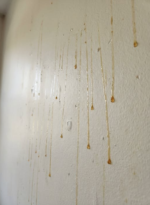 Yellow Streaks on Bathroom Walls? Causes, Easy Fixes, and How to Prevent Them