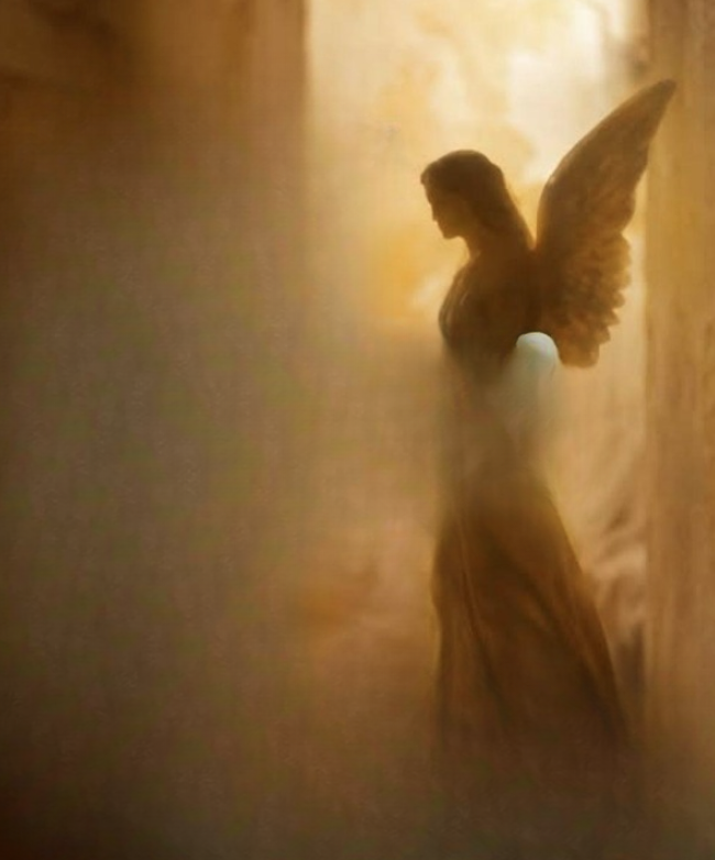 The Quiet Signs You Notice at Home — And Why They Feel More Meaningful Than You Think